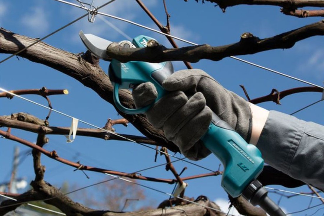 Cea mai bună foarfecă de vie si pomi: top 5 modele recomandate