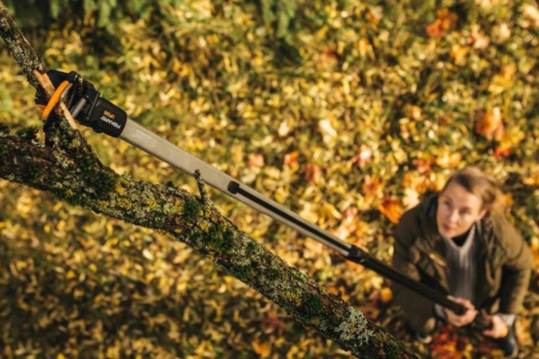 Cea mai bună foarfecă telescopică pentru gard viu și pomi