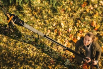 Cea mai bună foarfecă telescopică pentru gard viu și pomi