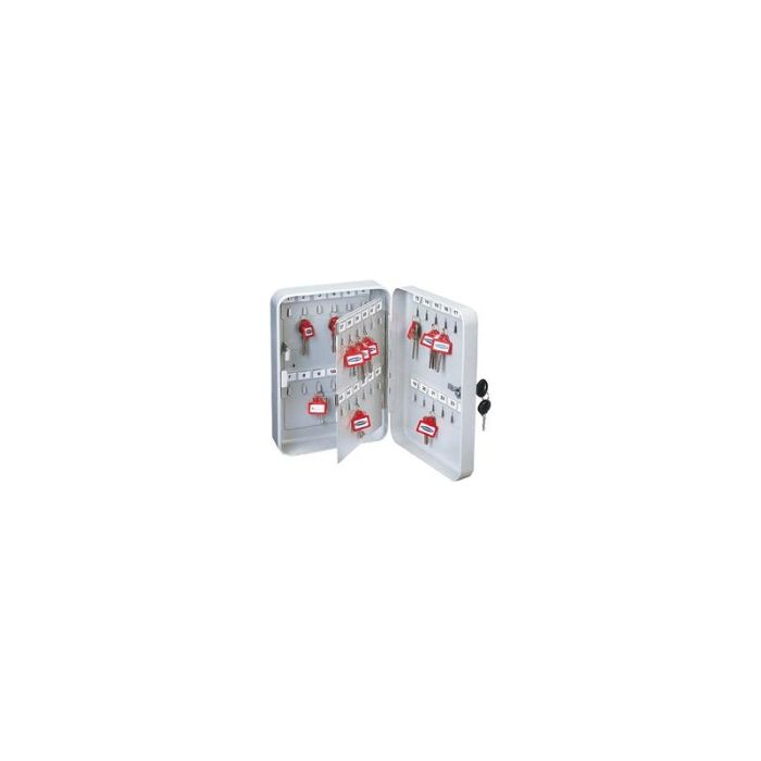 Rottner Security - Caseta cheie ts-48 gri deschis [T02733]