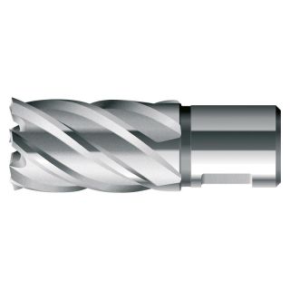 Carota HSS, BDS, scurta, prindere Weldon 3/4" (19mm), 15x30mm