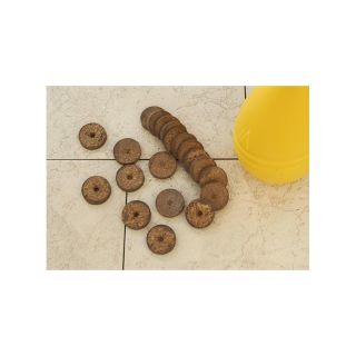 Ghivece de primavara de turba 20 buc 3,5 cm