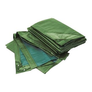 Prelata Rainexo, verde/albastra, 10x15m, 150g/m2