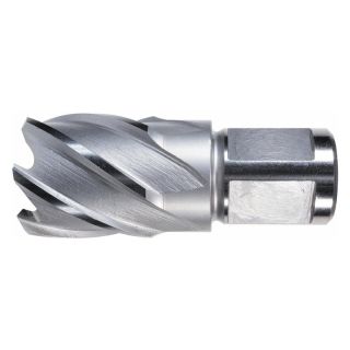 Carota HSS ALFRA, prindere Weldon 3/4" (19mm), 12x30mm