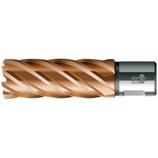 Carota HSS, BDS VARIOPlus, lunga, prindere Weldon 3/4" (19mm), 36x50mm