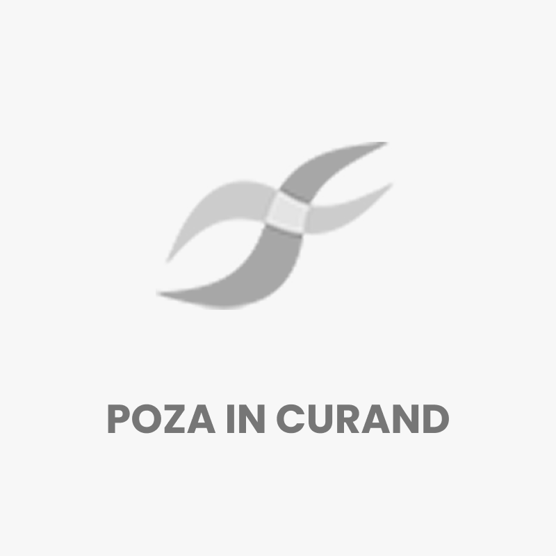 Mistrie cu maner S Fortis 180mm