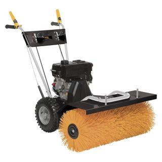 Masina de maturat Alpina SW 80 P